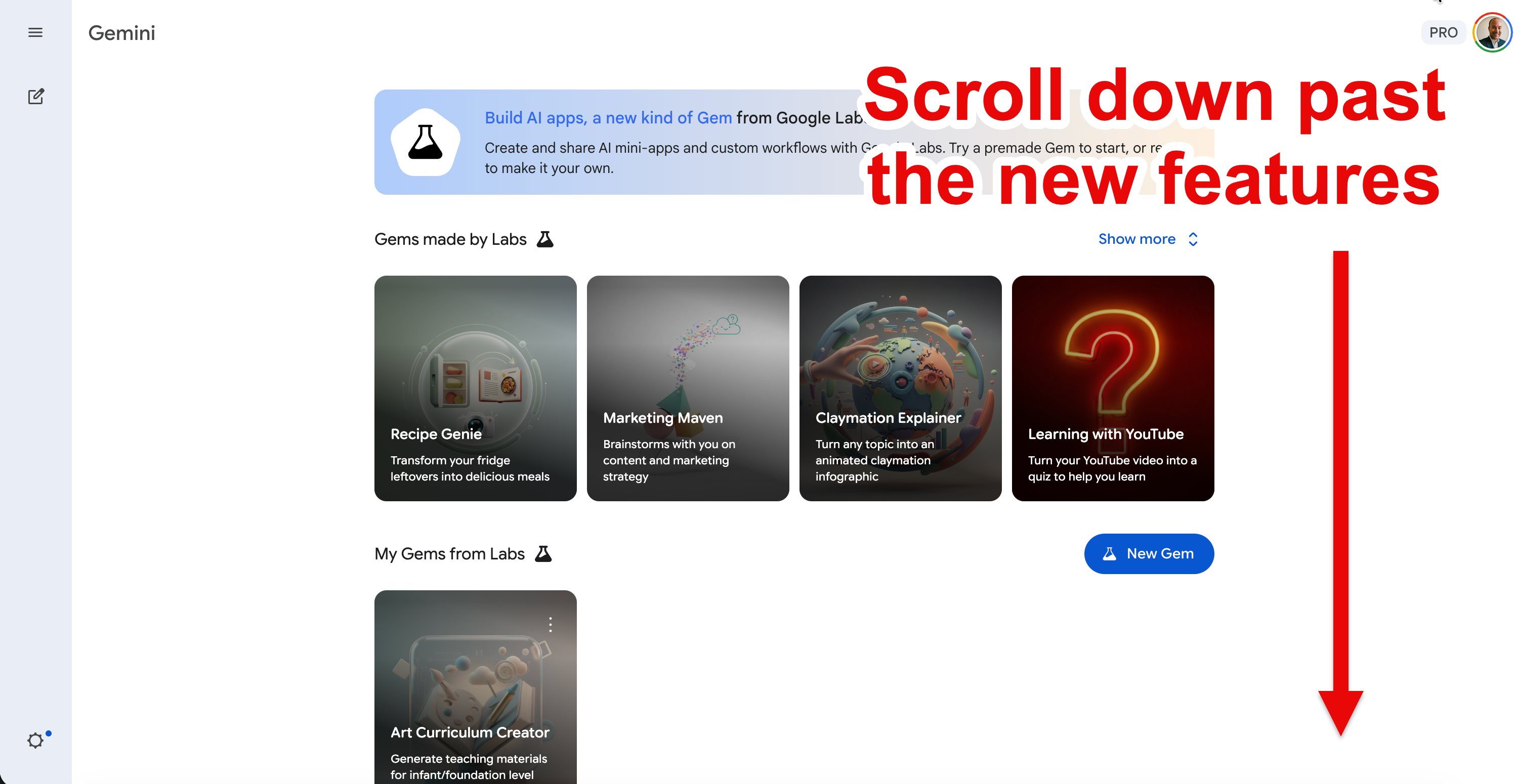 Gemini home screen showing pre-made Gems and the Gem manager entry point.